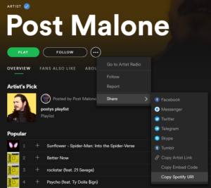 How Do I Find My Spotify Artist URI? – DPM Network Music Distribution